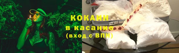 сатива Мегион