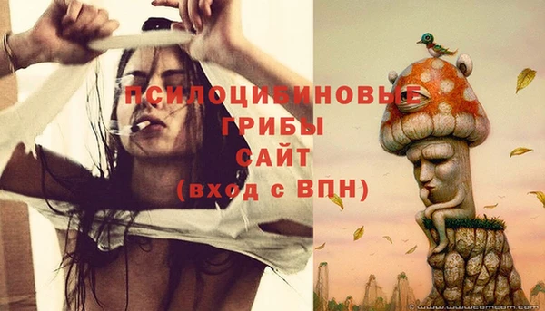 мдма Медвежьегорск