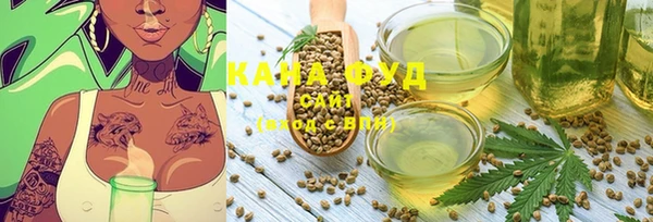 молекула духа Медногорск