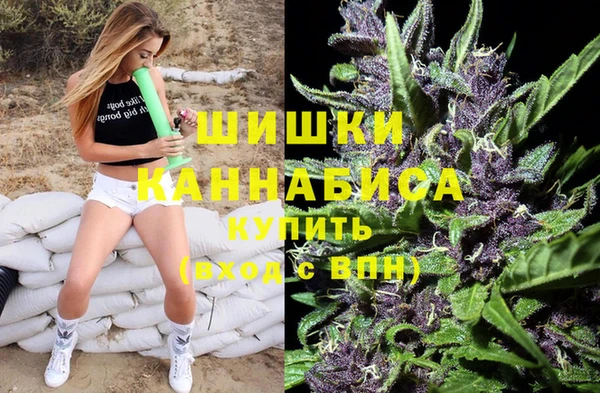 сатива Мегион