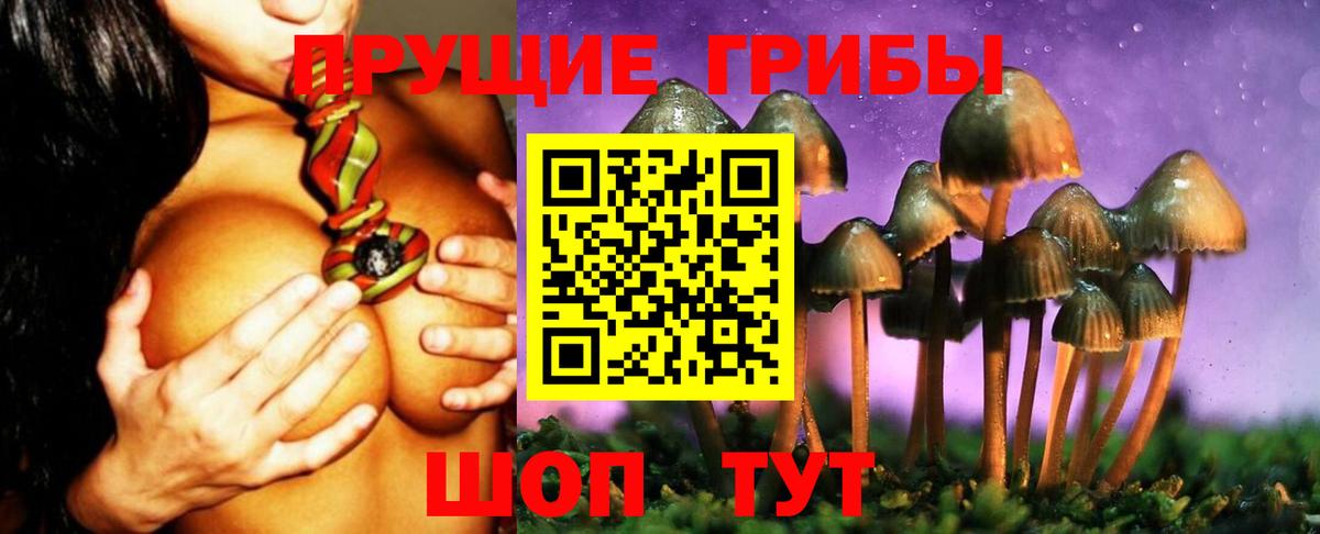 Всеволожск  Галлюциногенные грибы Psilocybine cubensis  Вход с VPN 